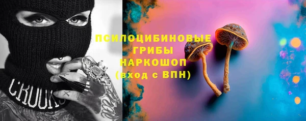 apvp Карпинск