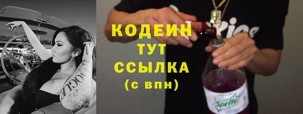 apvp Карпинск